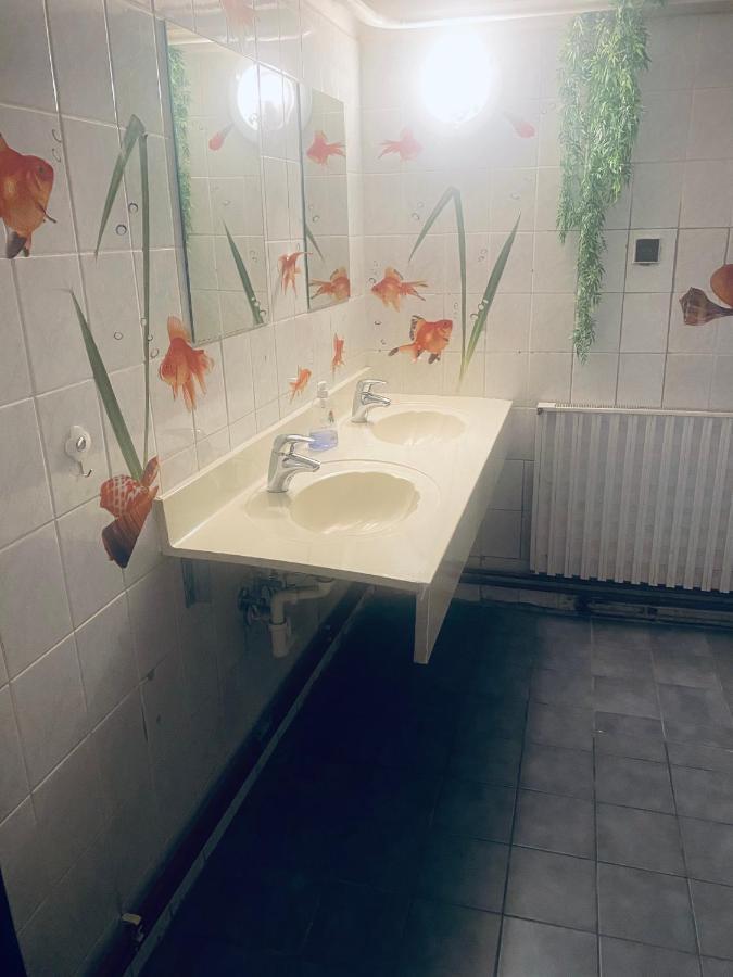 Apartmanovy Dum Velke Losiny Hotel Exterior photo